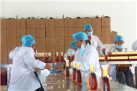 TMI引入增強(qiáng)厚度測試儀產(chǎn)品簡介